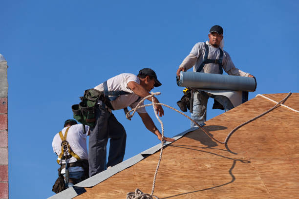 Best Metal Roofing Contractor  in Monrovia, MD